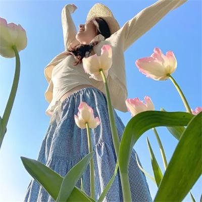 柳川堀割物语